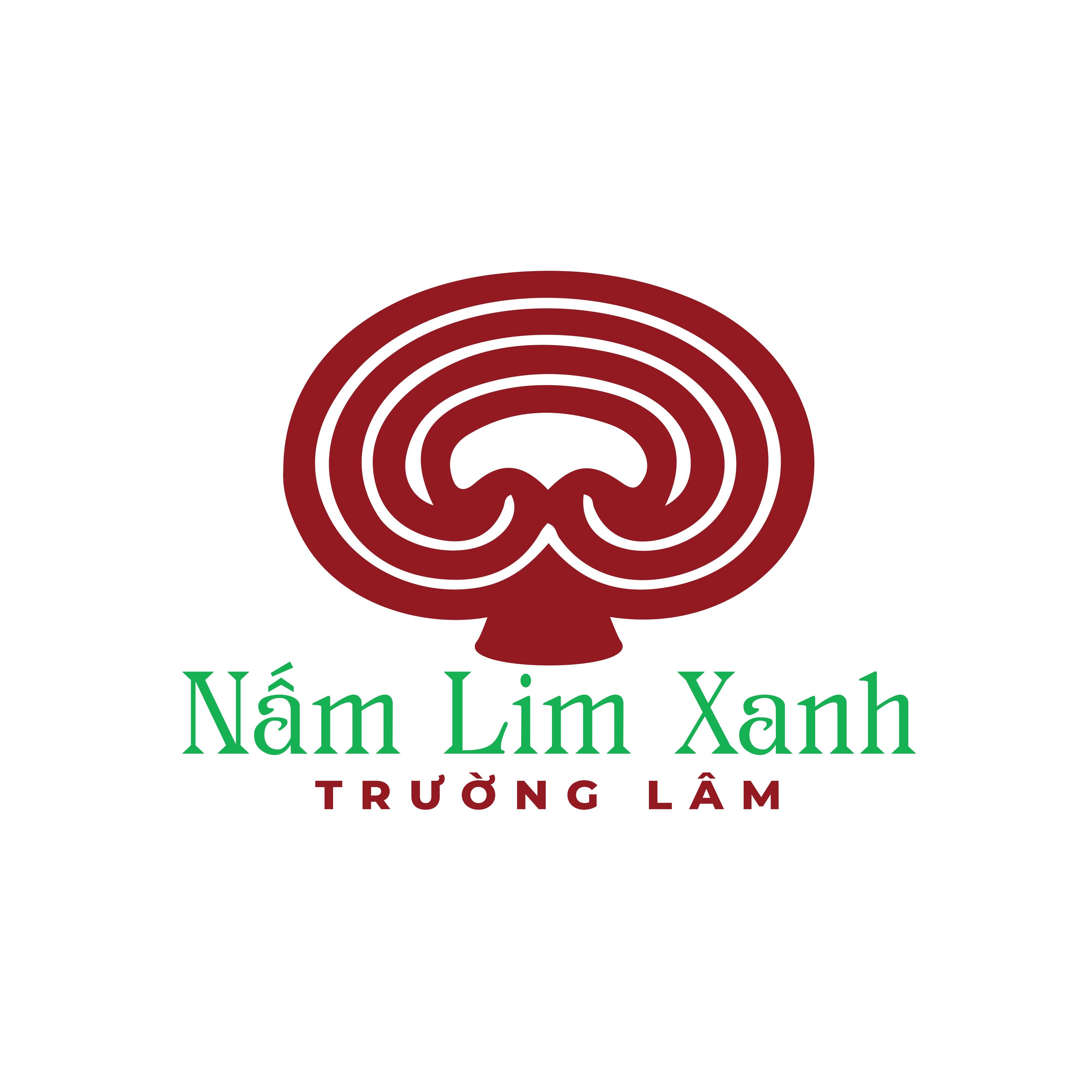 Nấm Lim Xanh Trường Lâm